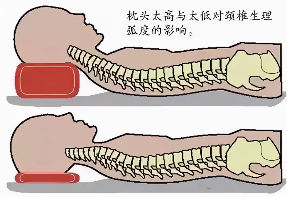 什么样的睡姿才不容易变丑,越睡越丑的4个姿势