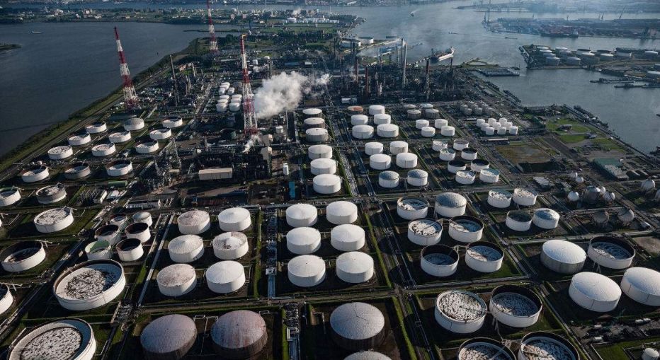 乌鸦兄弟这篇文章明白了什么道理,读了这篇文章使我明白了很多道理