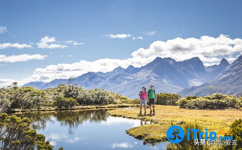 为何越来越多国人选择移民新西兰,为什么国人移民新西兰