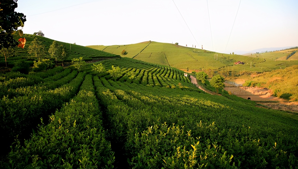 新春走基层农行人,新春走基层贵州千户苗寨