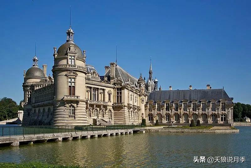 浪漫者的情怀，实用派的操作，一起来邂逅这8款法式月季