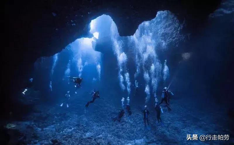 6个理由,帕劳是否值得去