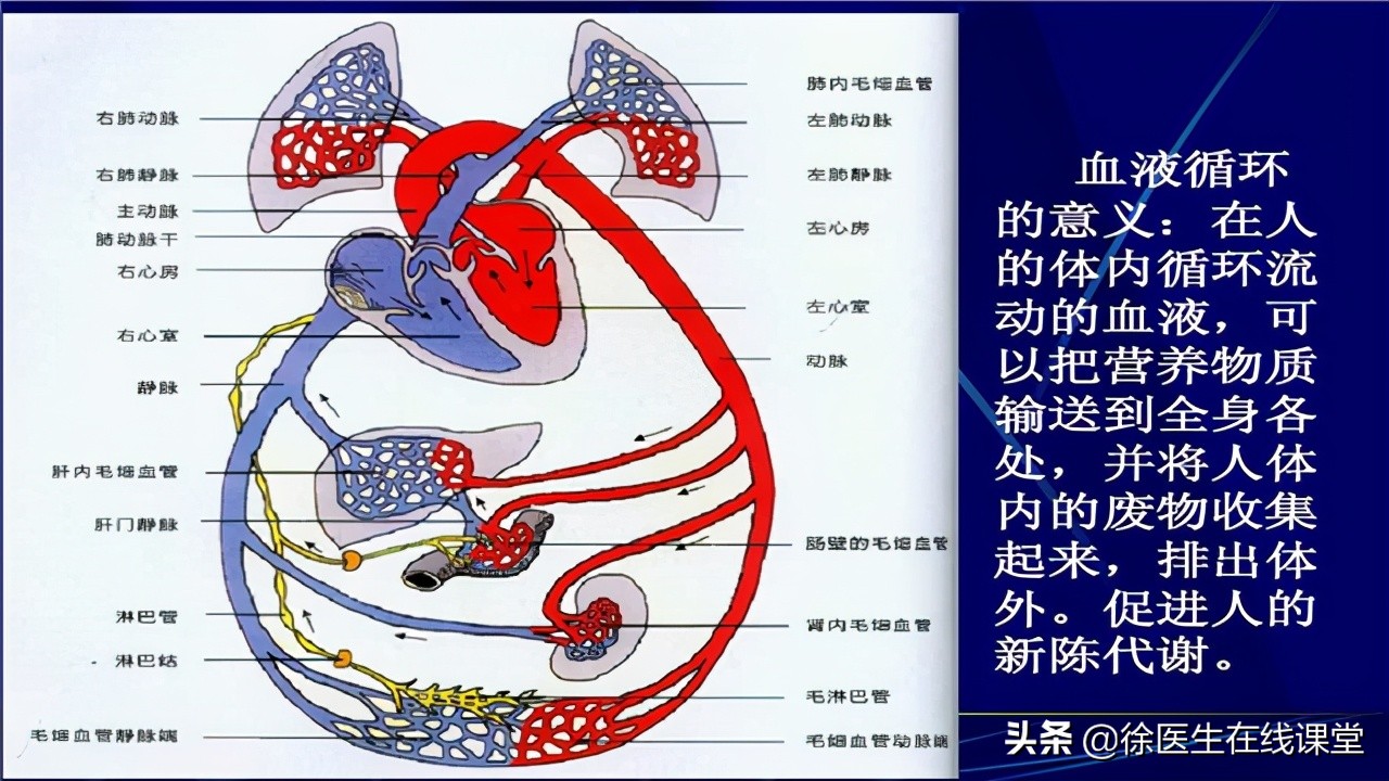尝试握紧拳头30秒,如果你的血太浓了,就可能会出现这个表现