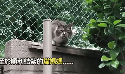 24岁男子喜当爹去派出所,90后男子相亲被误当爹