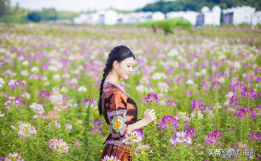 广西最美古镇黄姚古镇,贺州黄姚古镇花海