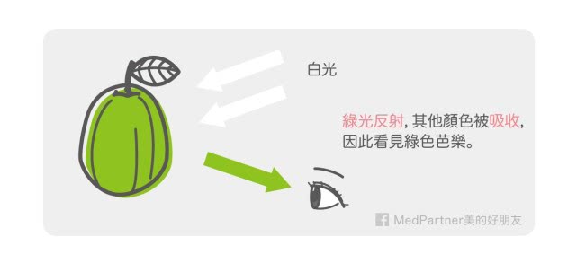 想要皮肤白,白里透红是什么颜色