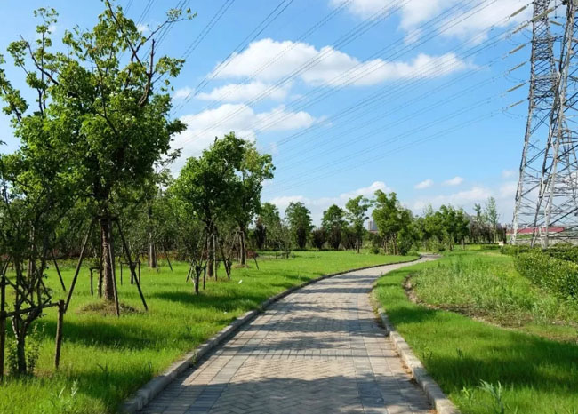 动真格解决问题,上海动真格