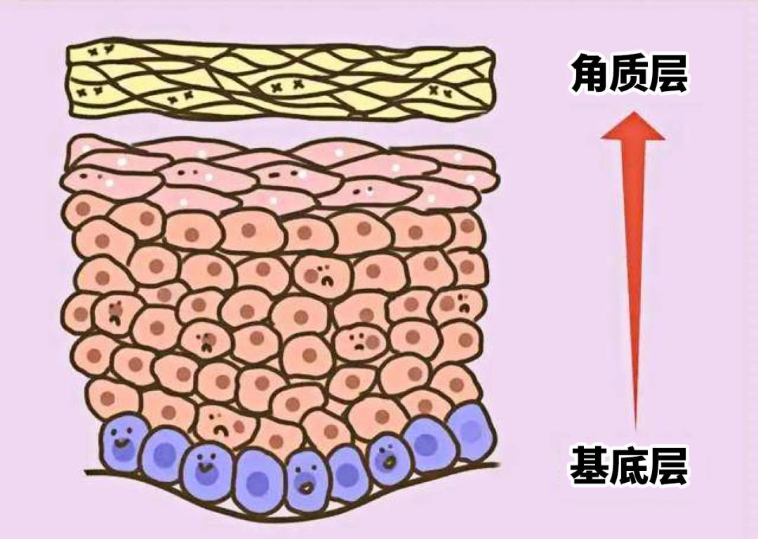 医美刷酸后爆痘期要多久,痘痘肌医美刷酸能好吗