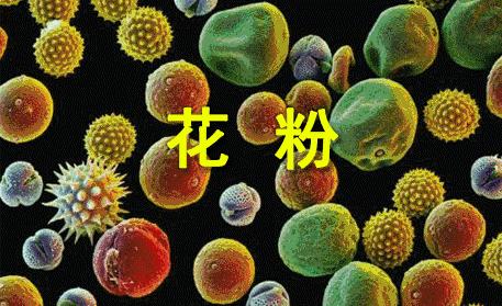 过敏性鼻炎鼻窦炎鼻塞流涕怎么办,过敏性鼻炎鼻窦炎的最好治疗方法