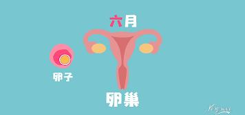 月经和卵巢早衰有什么关系,月经不调卵巢早衰平时要注意什么