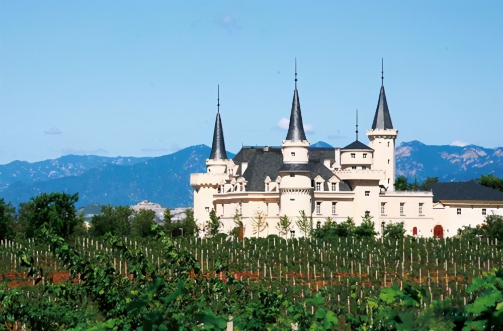 国产十大公认最好喝的冰酒,进口冰酒哪些好