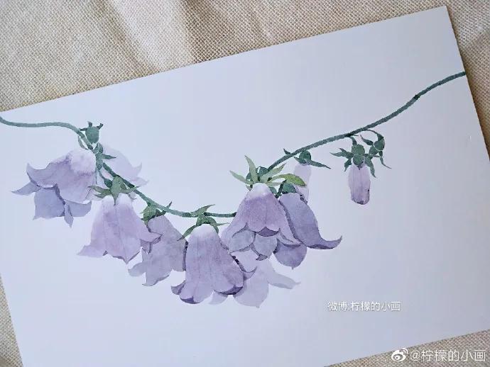分享一组好看的小清新水彩插画,不来看看简单水彩小插画的教程吗