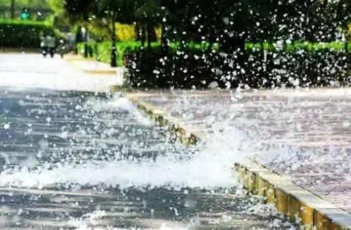 柳絮杨絮导致眼睛过敏鼻子难受,柳絮满天飞过敏流鼻涕