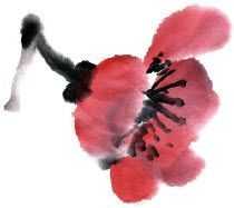 国画梅花上的雪画法步骤教程视频,零基础国画入门画梅花教程