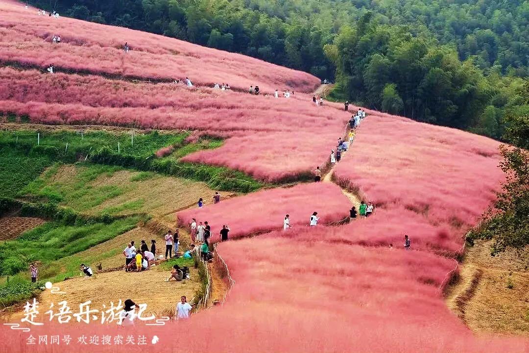 宁波四明山最美古村,宁波又一古镇走红景色不输姑苏