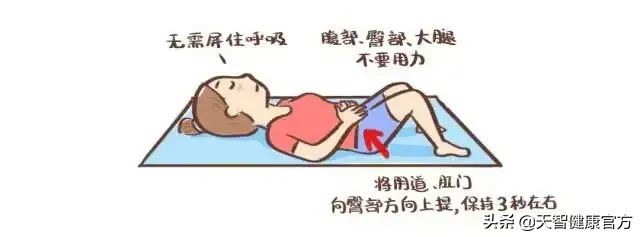 盆底肌松弛有救了，教你两招轻松搞定，不再担心漏尿尴尬