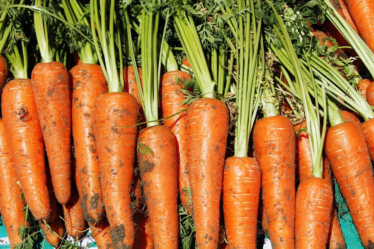 保护视力的叶黄素保健品,保护视力叶黄素