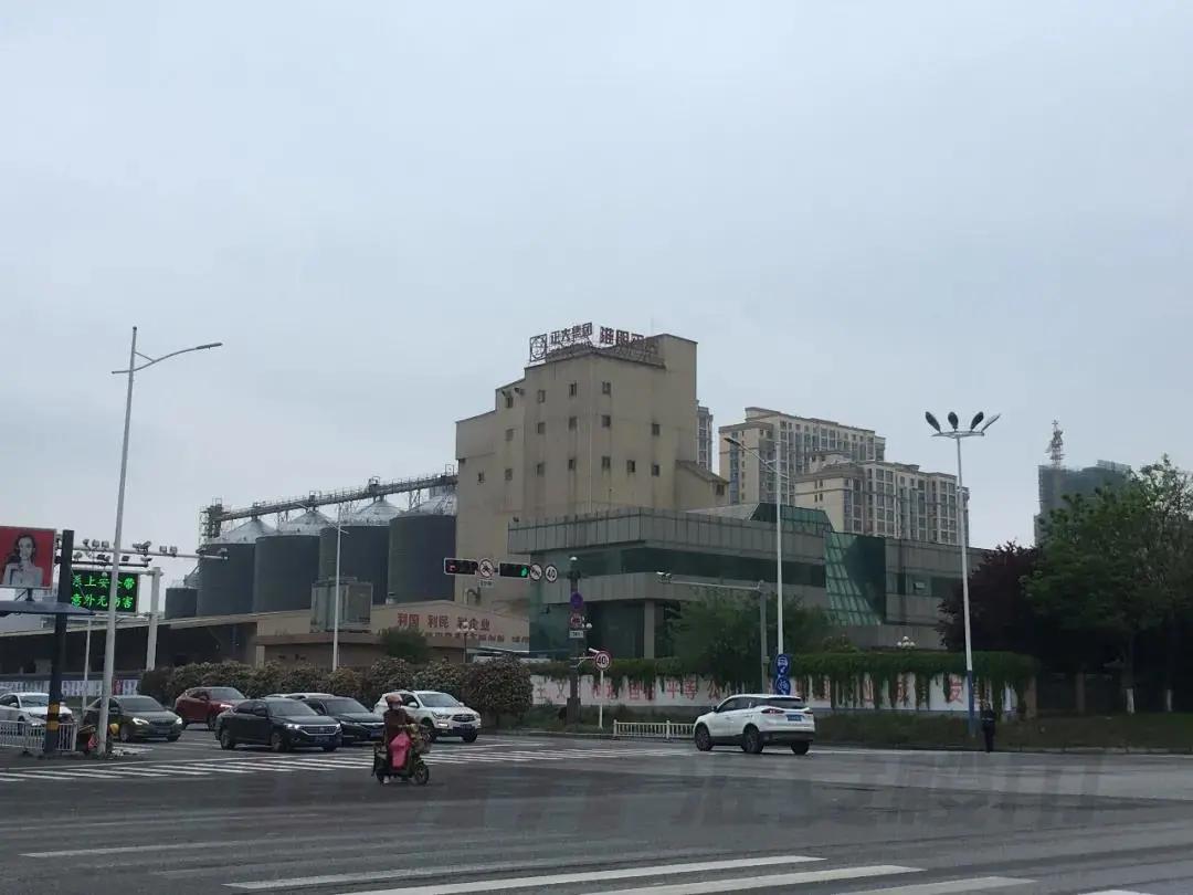 淮安正大饲料厂对面拆迁了盖什么,正大饲料厂拆迁学校什么时候建