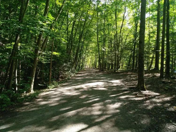 途征旅行,征途2020