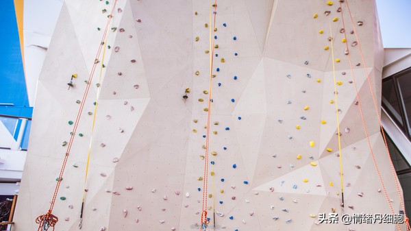 皇家加勒比邮轮量子号新加坡出发,皇家加勒比海洋量子号邮轮之旅