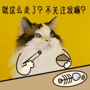 圈厨养生壶测评,圈厨养生壶评测