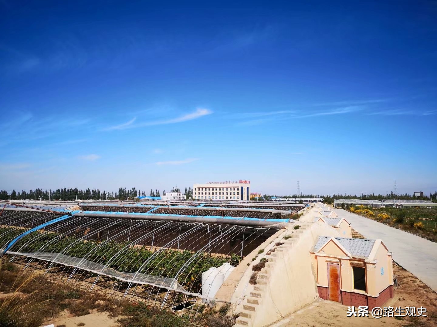 4000多年前，白人与黄人在河西走廊发生了怎样的战争？谁输谁赢？