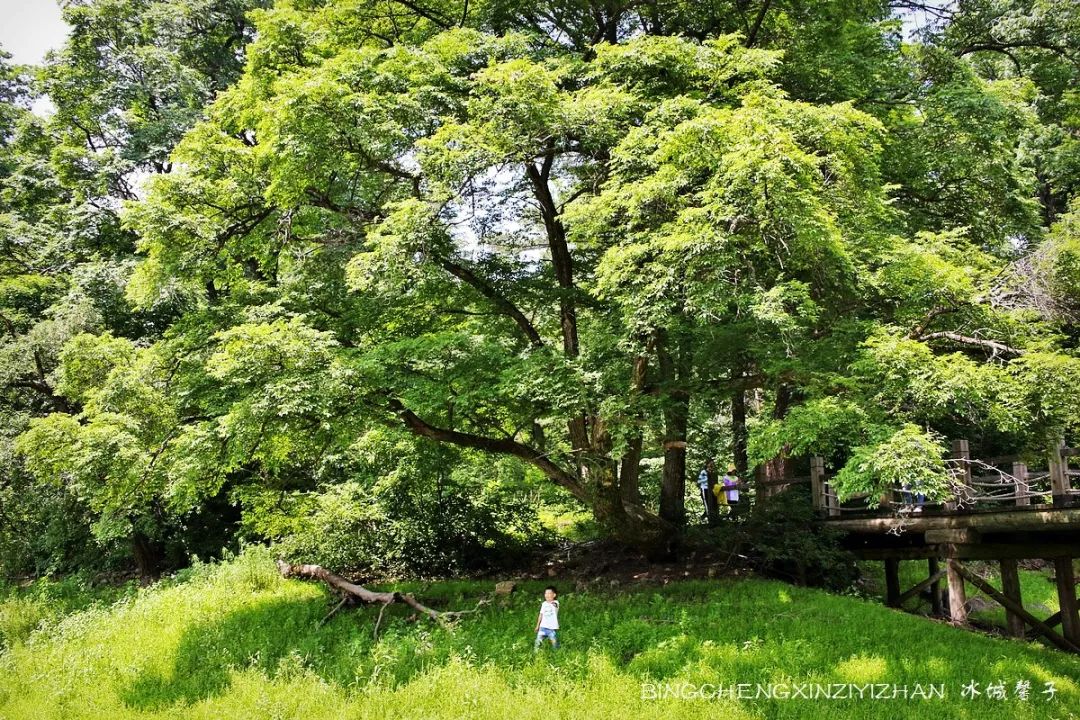镜泊湖是堰塞湖吗,高山熔岩堰塞湖镜泊湖
