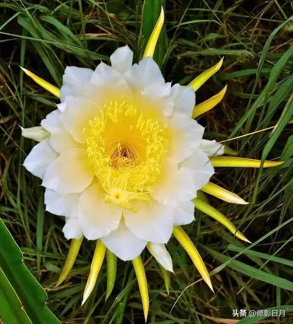 浅议辅助费,浅议成本管理