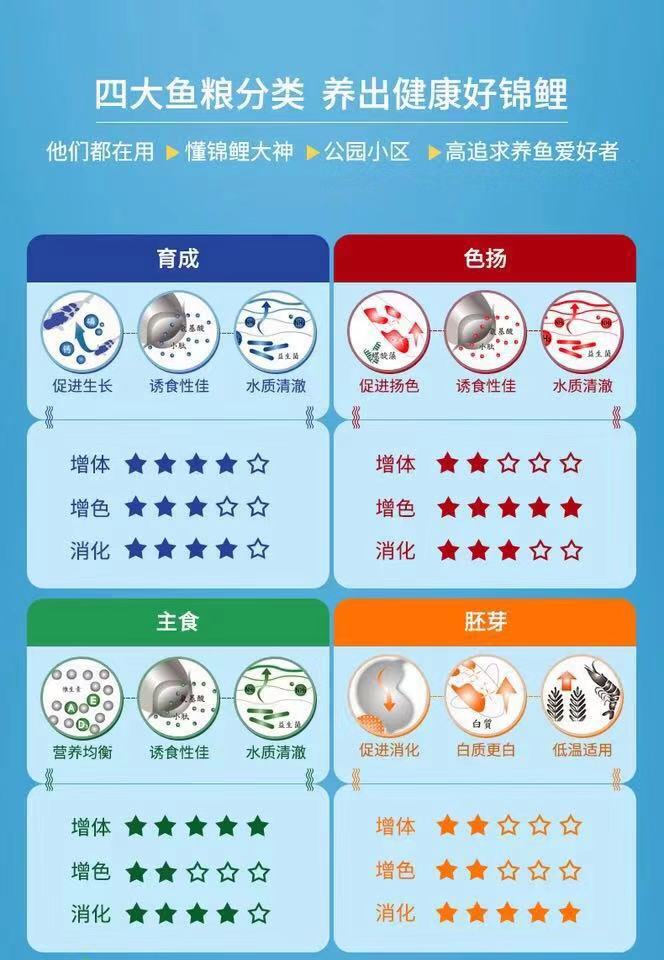 鱼缸养锦鲤鱼的方法和技巧,鱼缸新手养锦鲤鱼的正确方法