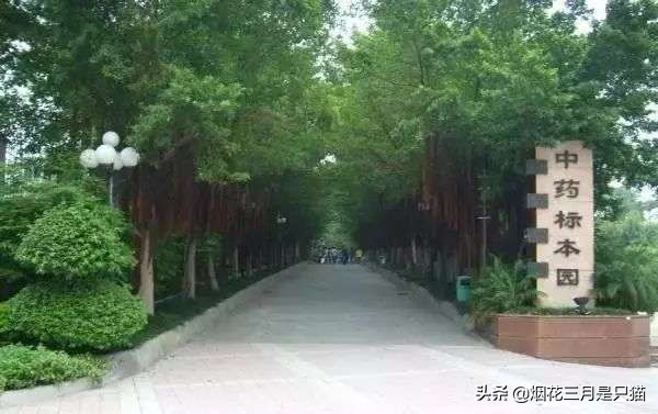 还在为选学校发愁吗,还在为选项目发愁吗