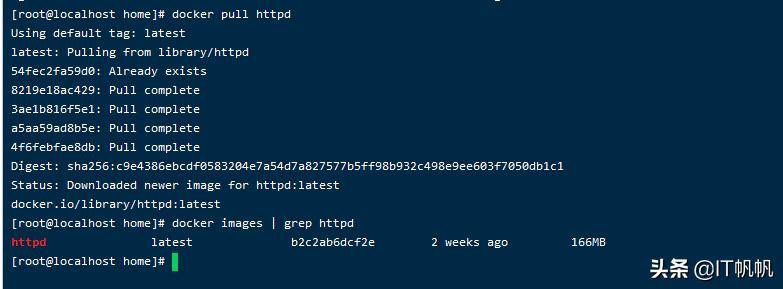 阿里云linux安装docker,centos7和8的docker镜像