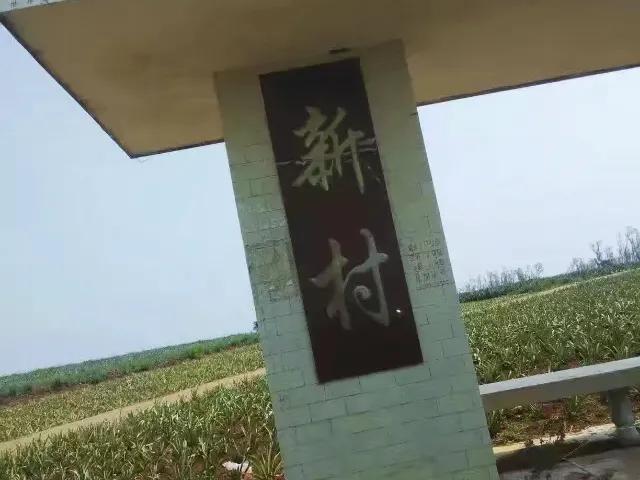 徐闻县历史最长久的村庄,湛江徐闻县历史