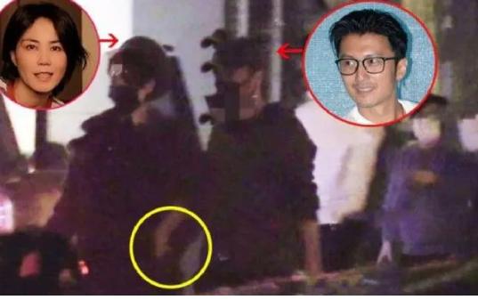 谢霆锋为何背叛王菲选择张柏芝,谢霆锋或王菲2020年关系如何