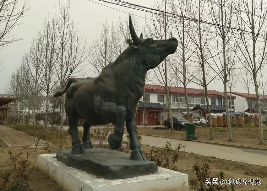 茌平“菜瓜打金牛”,王菜瓜啥也没得到,罗家园落下金牛角