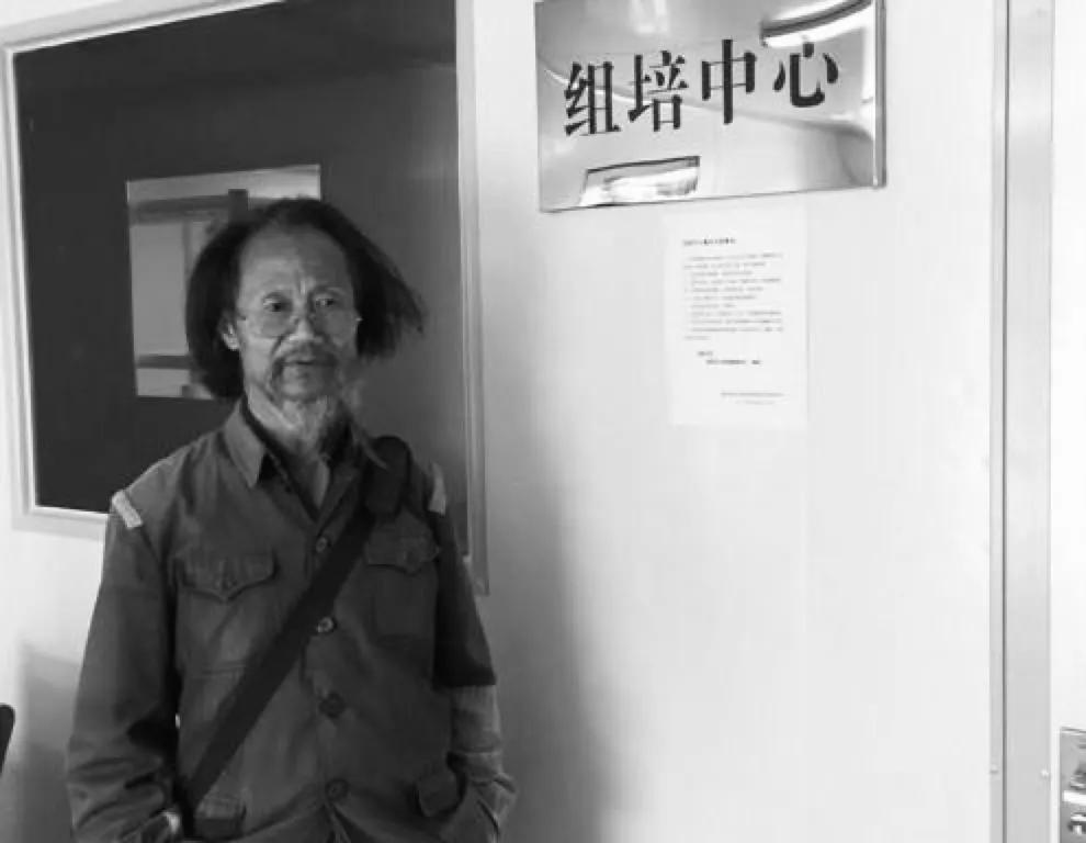 被打的老教授，吃饱的中国人