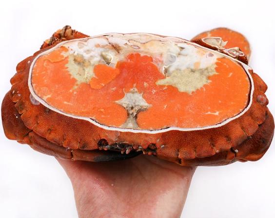 螃蟹吃不完的剩下的怎么储存,吃不完的螃蟹怎样保存的时间长