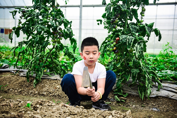 乌村暑期夏令营，吃喝玩乐在这里