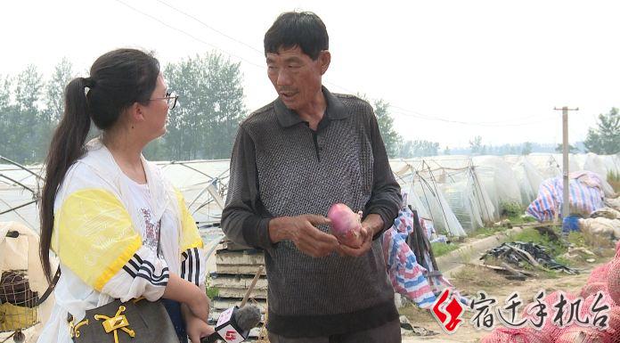 扩散转需！宿城区蔡集镇40吨洋葱滞销，4毛左右都能卖