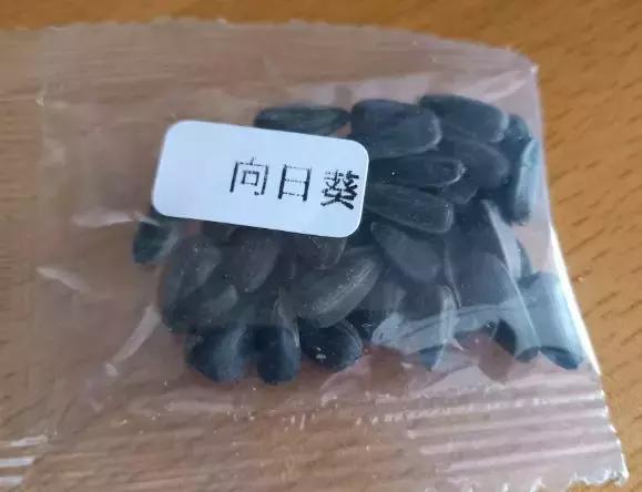 五月份被公认阳台最好养的10种花,喜阴耐旱适合室内养的50种花