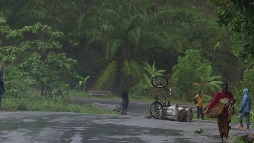非洲黑哥爱用“二八大杠”运香蕉,时速60公里都不捏刹车