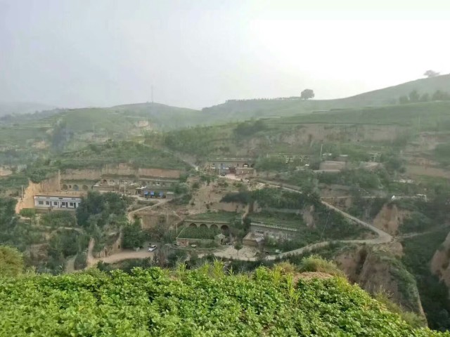 人教版九年级下册英语期末试卷,人教版九年级英语重点短语和句型