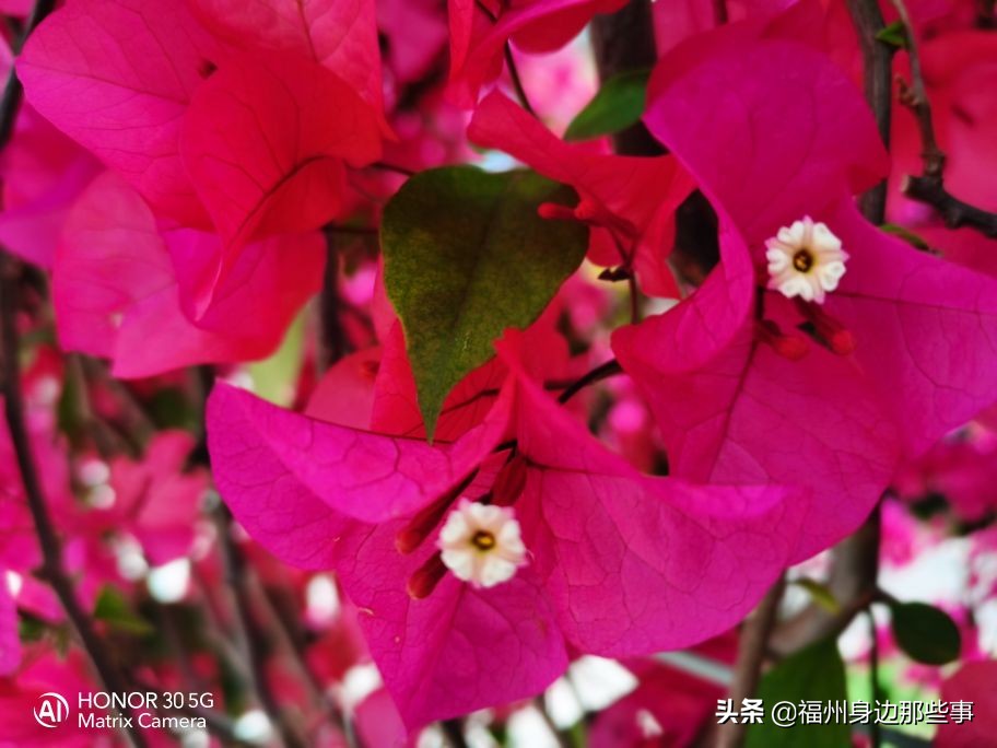 福州露营休闲放松好去处,福州温泉景区