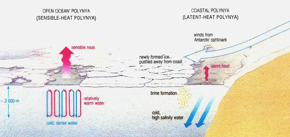 2019南极变暖程度,2023南极变暖最新进展