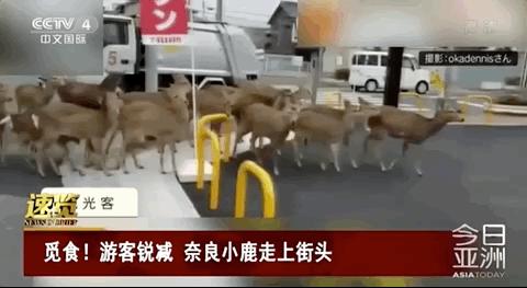 疫情下岗人的现状,疫情下岗