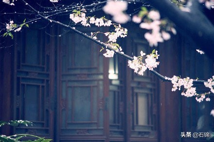 十句令人伤感的诗句,最让人忧伤的古诗句