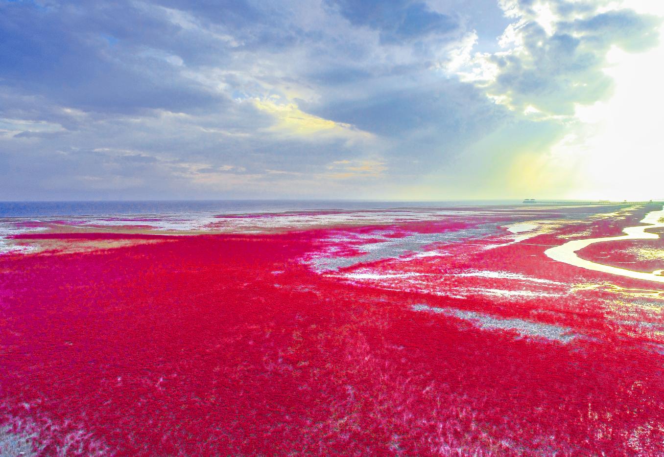 盘锦红海滩五月去好吗,五一盘锦红海滩
