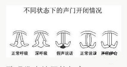 唱歌一张嘴就跑调,唱歌跑调五音不全一对一能学会吗