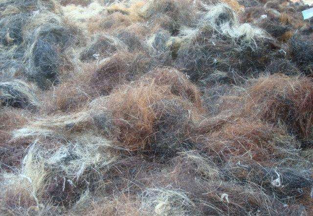 猪鬃也是好东西?*器武**没了它就等着报废,引德美苏三国争相抢购