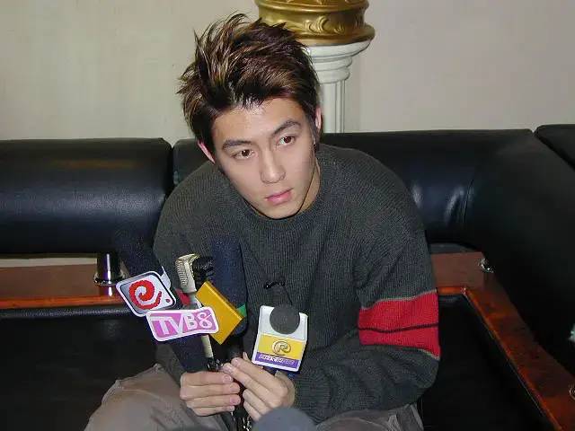 香港娱乐圈的四大遗憾,港星陈冠希退圈理由