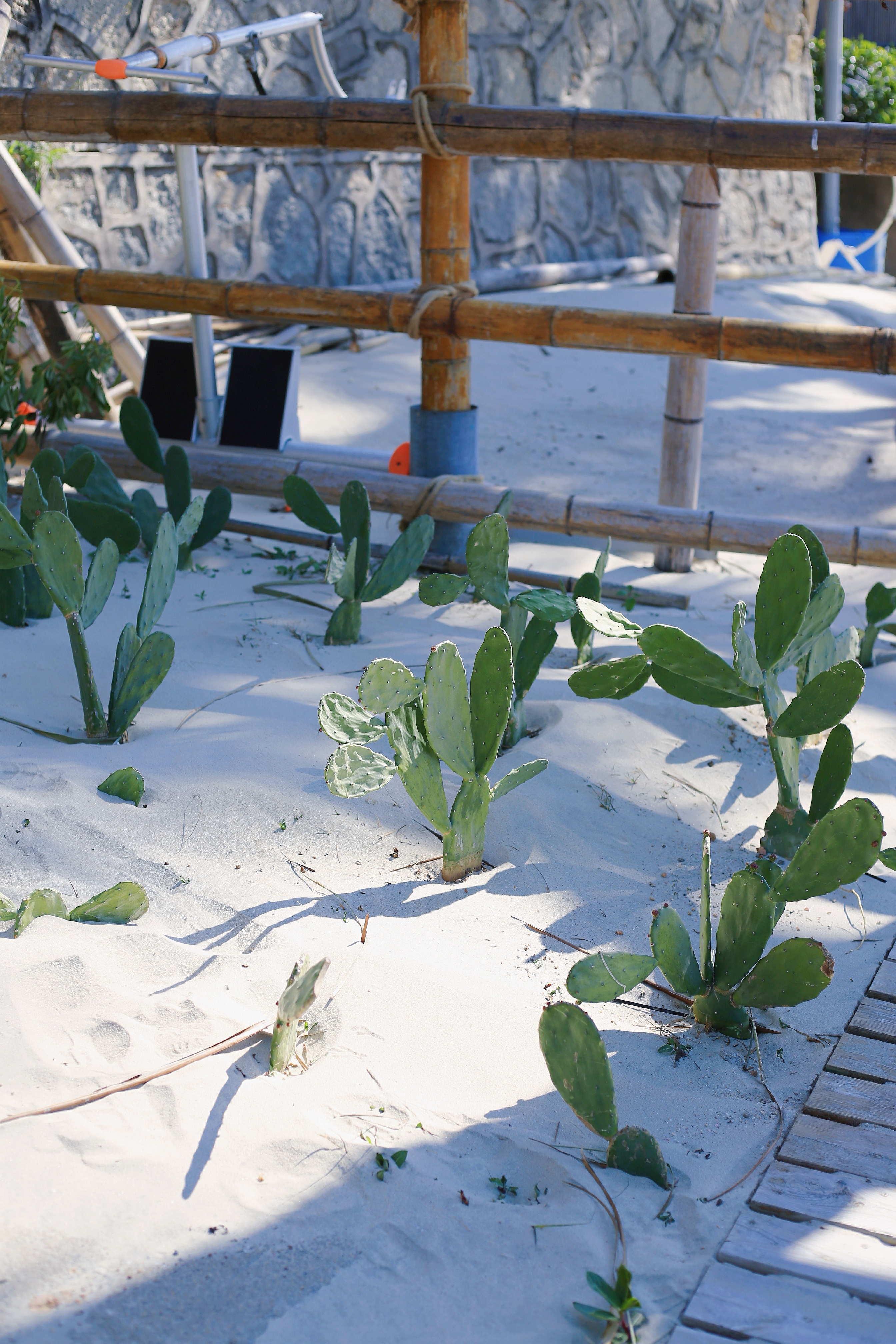 广州马尔代夫海岛旅游攻略,广州马尔代夫旅游景点